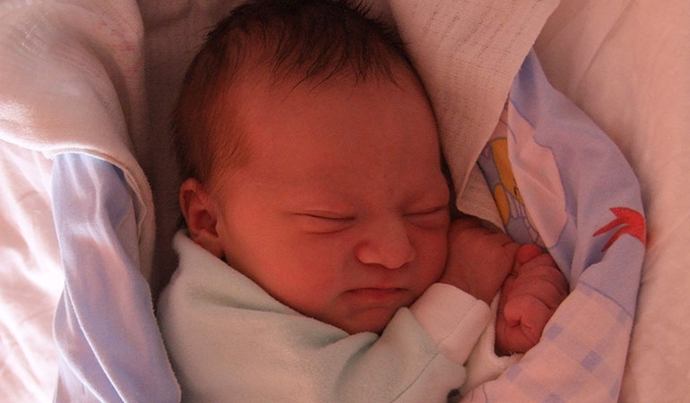 Dobrosława Joanna Szul