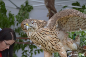 85 lat OSP Chwaliszew_94