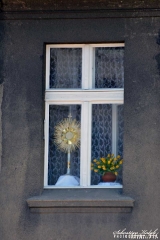 Procesja „Bożego Ciała” w Krotoszynie