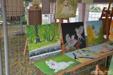 Święto Ulicy 2017_12