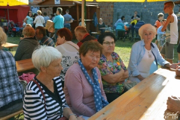 Święto Ulicy 2017_61