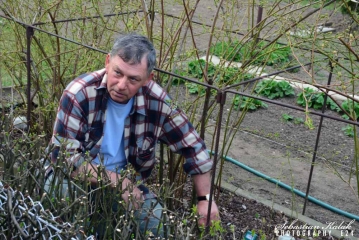 Wykład „Wiosna z Borówką Amerykańską”_8