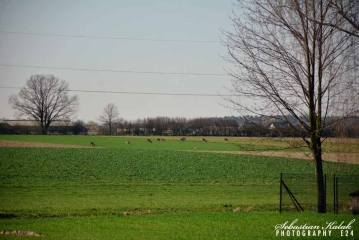 40 wyprawa rowerowa_2