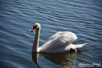 40 wyprawa rowerowa_7