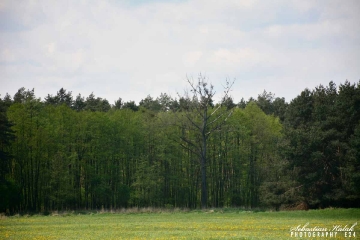 41 wyprawa rowerowa_33