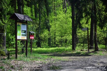 41 wyprawa rowerowa_36