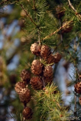 XXXVI wyprawa rowerowa UTW