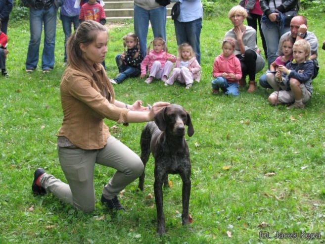 Myśliwskie biesiadowanie 
