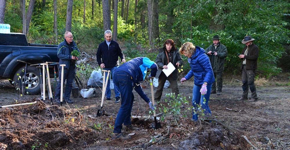 Samorządowcy sadzili las[gallery][wideo]