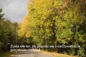 Nie oceniaj pochopnie