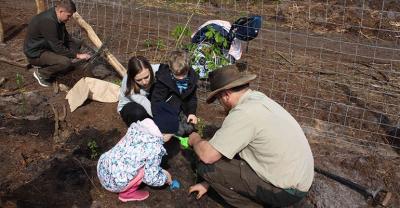 Zasadzili las dla nas i przyszłych pokoleń