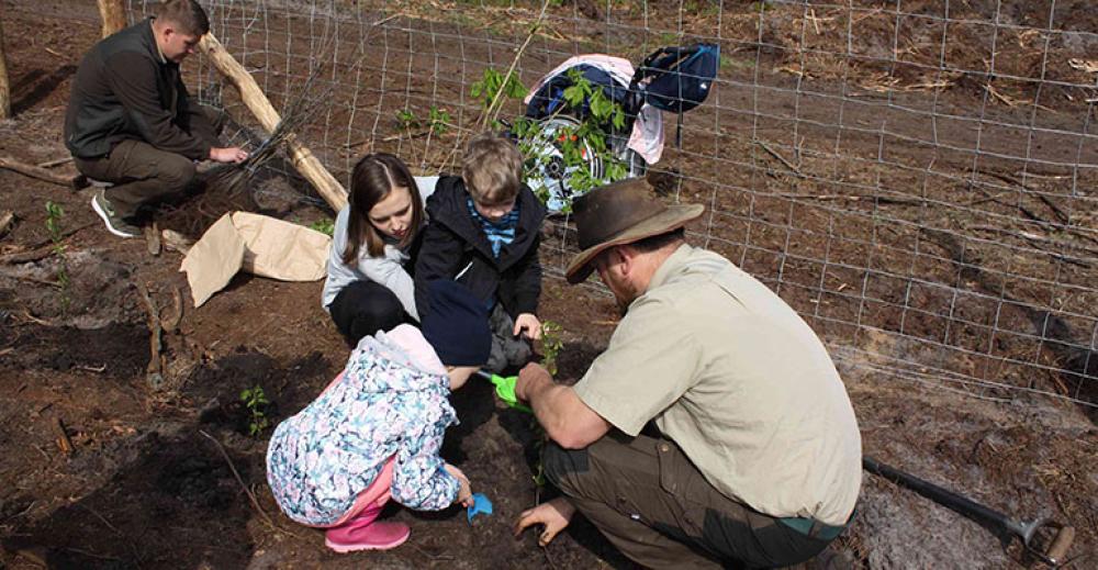 Zasadzili las dla nas i przyszłych pokoleń