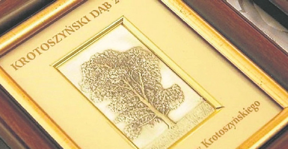 Rusza &quot;Krotoszyński Dąb”