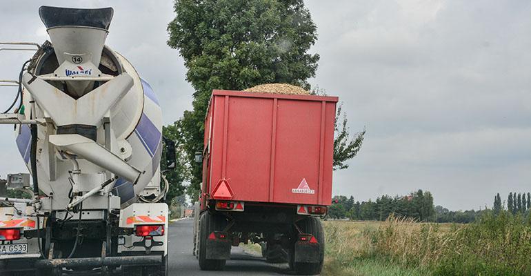 Kukurydza wala się po drogach