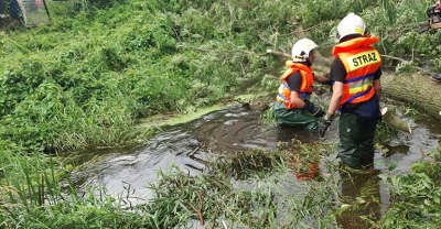 Strażacy zapobiegli zalaniom domów[gallery]