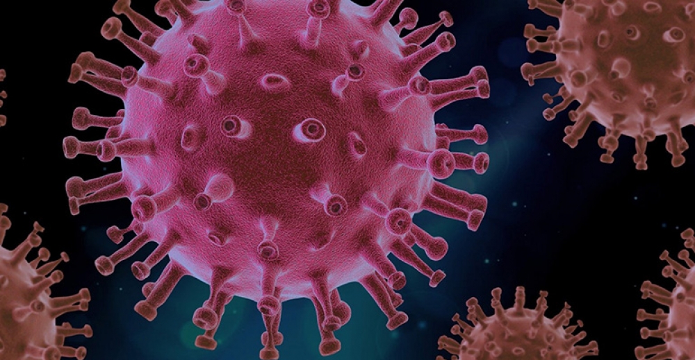 Wzmacniaj odporność w czasie pandemii