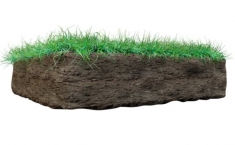 Grunty rolne coraz droższe