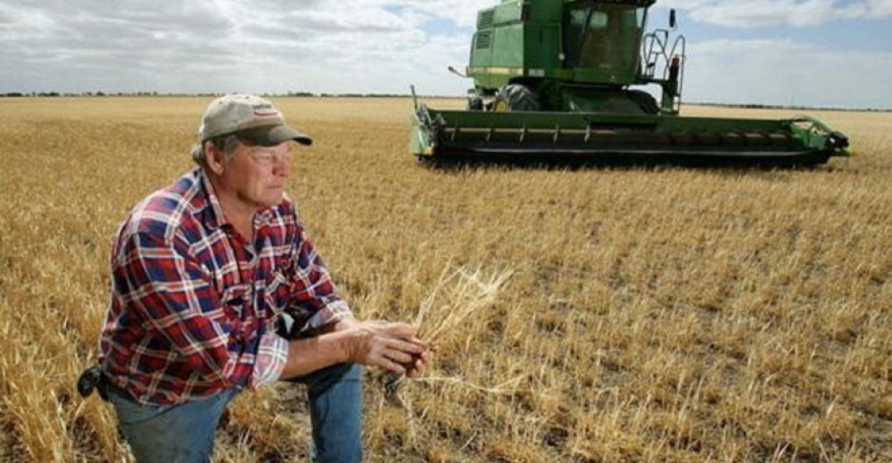 Twoje uprawy dotknęła np. susza? Złóż wniosek o pomoc