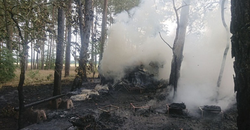 Spaliły się ule z pszczołami