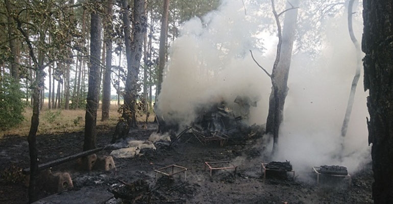 Spaliły się ule z pszczołami