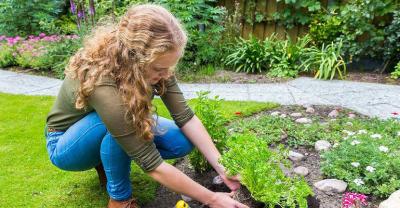 Uporządkuj ogród na wiosnę
