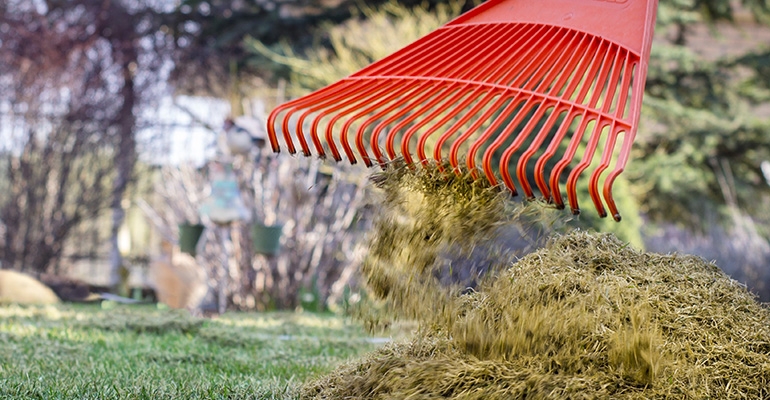 Przed nastaniem zimy