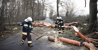 Wiatr uszkodził dach w Starymgrodzie[gallery][wideo]