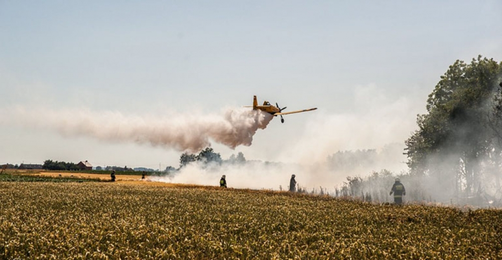 Kolejny pożar zboża