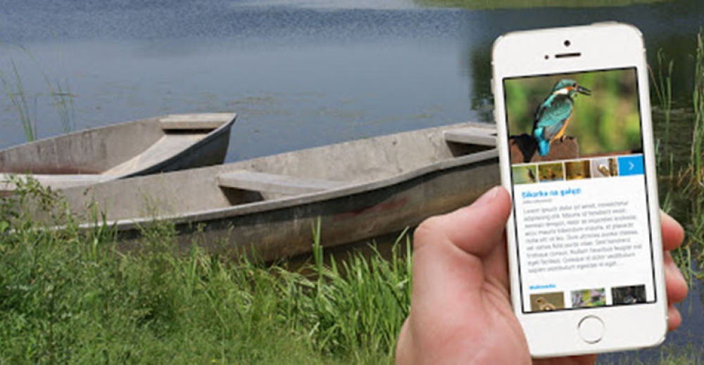 Zwiedzanie Doliny Baryczy z telefonem za pomocą aplikacji