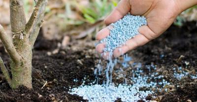 Zasil ogród a wypięknieje