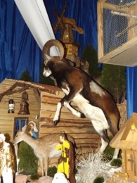 Lutogniewska szopka [gallery]