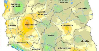 Susza zbiera żniwo. Plony niższe o 20%?