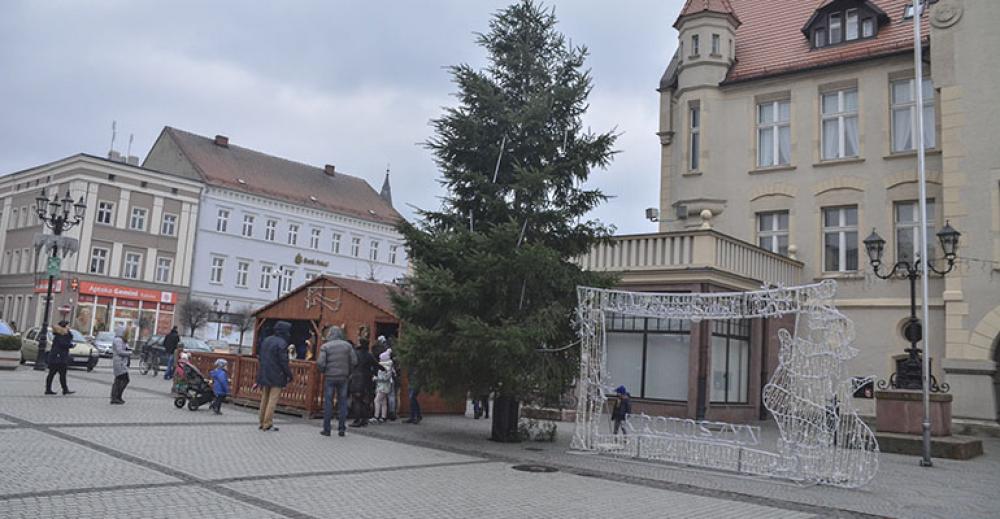 Owieczki na krotoszyńskim Rynku