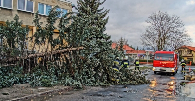 Silnie wiało[gallery]