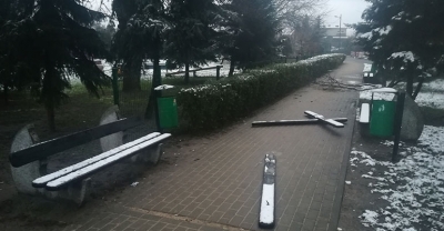 Uszkodzone zostały ławki, drzewostan i ogrodzenie