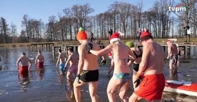 Pierwsza kąpiel morsów