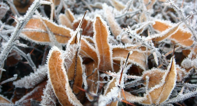 Najwyższy czas pożegnać się z jesienią