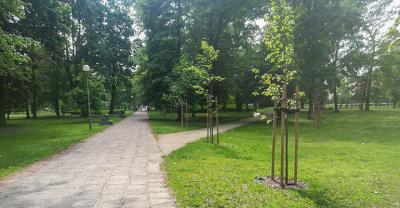 346 852,80 zł kosztowała rewalryzacja krotoszyńskiego parku