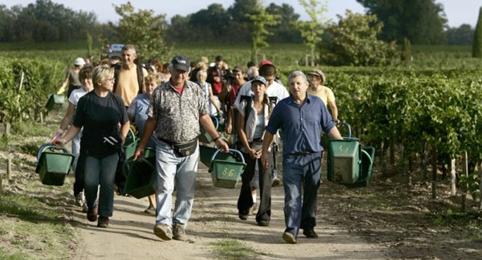 Ten, kto ci to proponuje, łamie prawo i wykorzystuje twoje trudne położenie