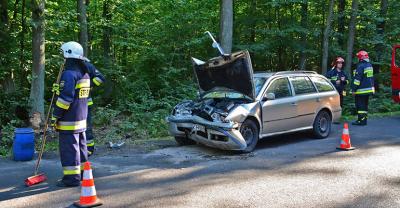 Skoda uderzyła w drzewo[gallery]