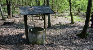 Zmodernizują studnię św. Marcina?