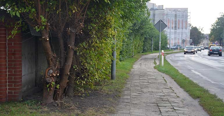 Dziury, kałuże i krzaki na chodniku