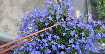 Balkon Twoich marzeń