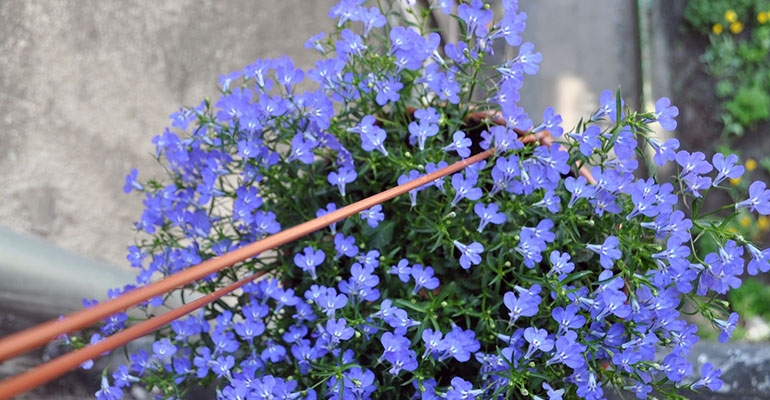 Balkon Twoich marzeń