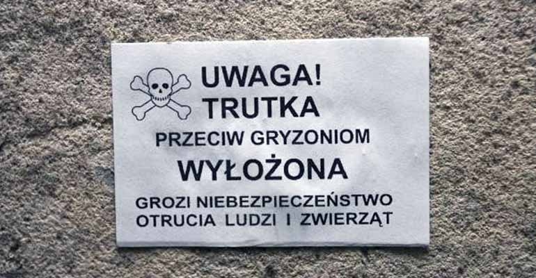 Przez cały maj potrwa w gminie akcja odszczurzania!