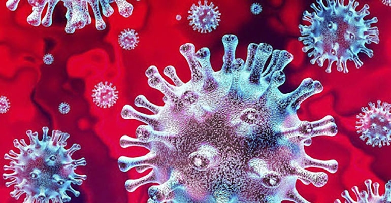 Powiat milicki bez koronawirusa