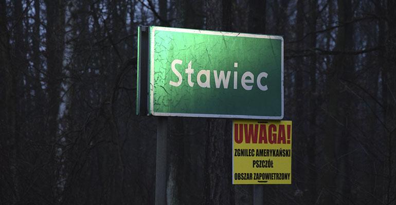 Śmiertelna choroba młodych pszczół