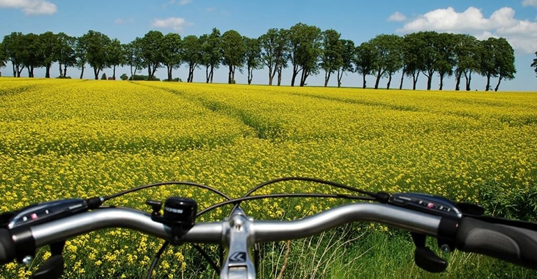 Zaplanuj trasę – mierz siły na zamiary