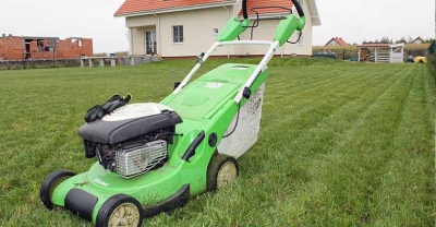 Kwiecień w ogrodzie