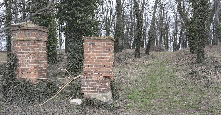 Nekropolia ewangelicka zostanie uporządkowana